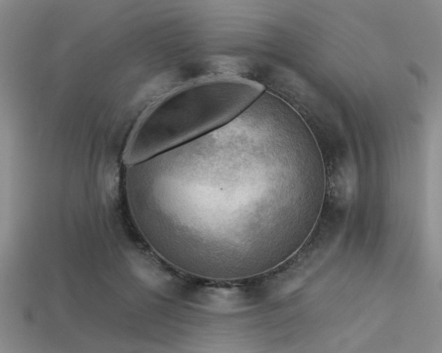 X0000113340552200909151133