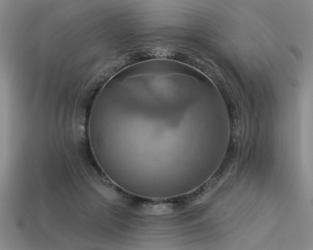 X0000113340553200909151133