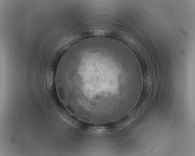 X0000113340554200909151133