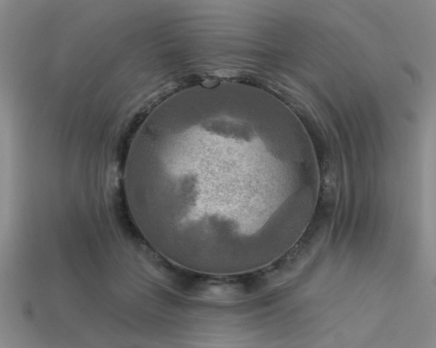 X0000113340555200909151133