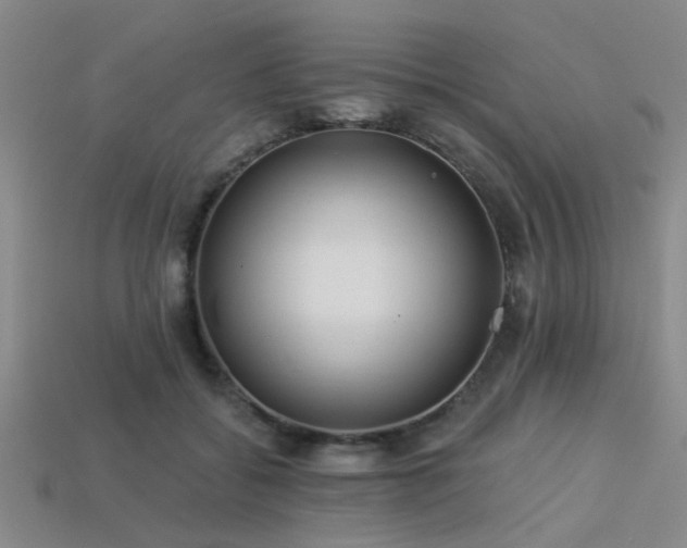 X0000113340556200909151133