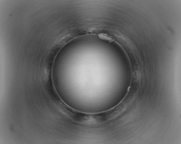 X0000113340558200909151133