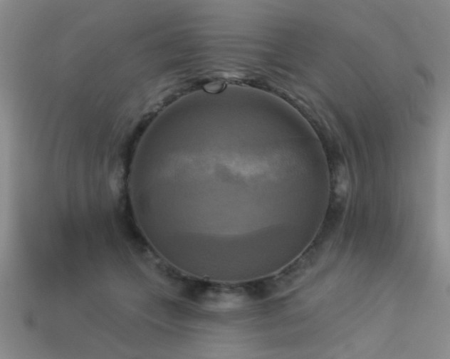 X0000113340559200909151133