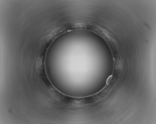 X0000113340560200909151133