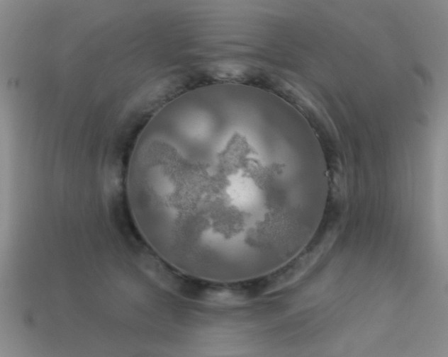 X0000113340561200909151133