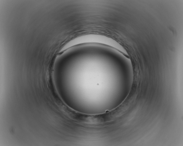 X0000113340562200909151133