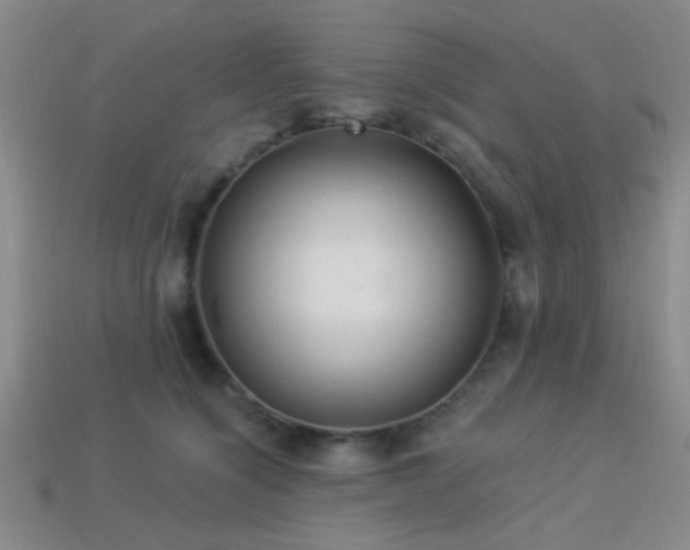 X0000113340564200909151133