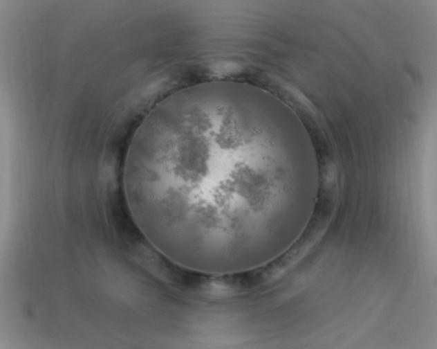 X0000113340565200909151133