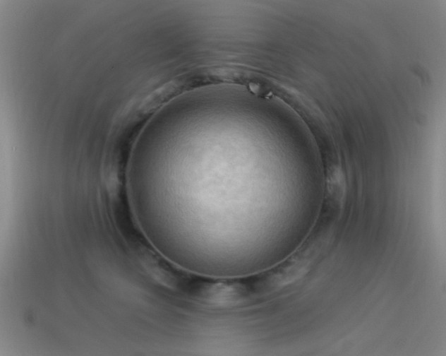 X0000113340566200909151133