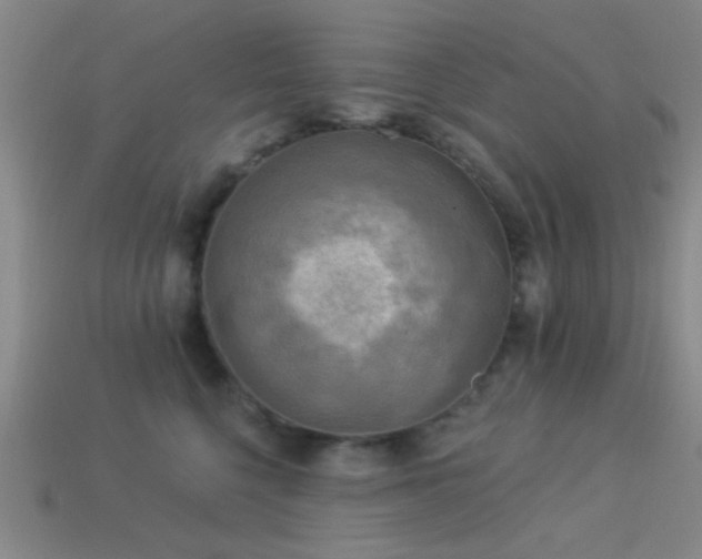 X0000113340568200909151133