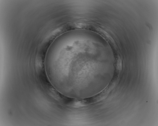 X0000113340569200909151133
