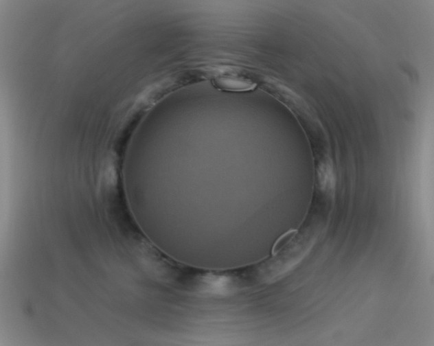 X0000113340570200909151133