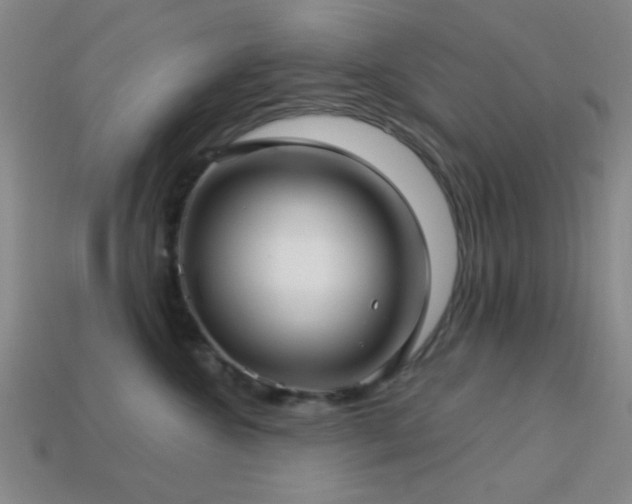 X0000113340572200909151133