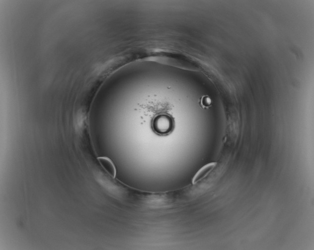 X0000113340574200909151133