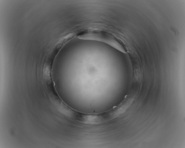 X0000113340575200909151133