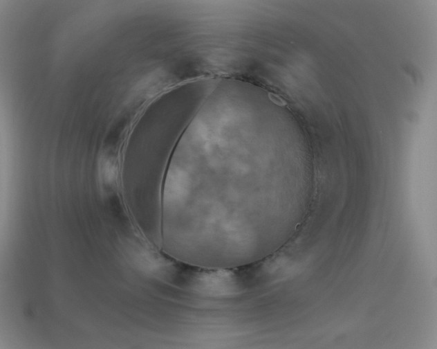 X0000113340576200909151133