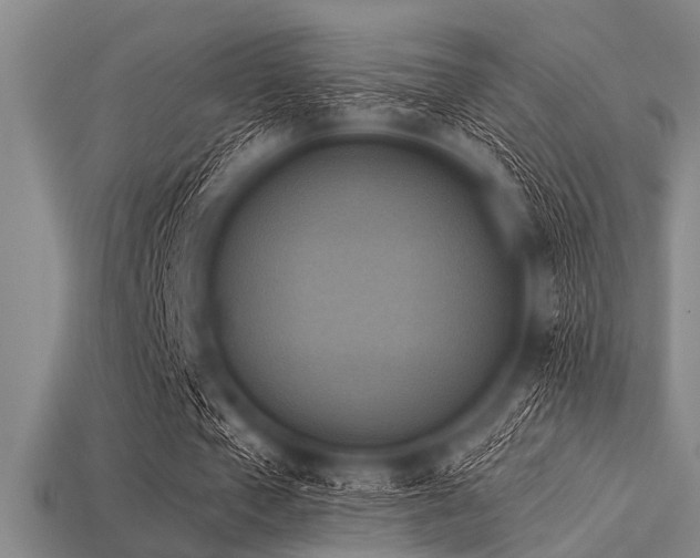 X0000113340577200909151133