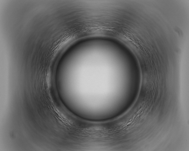 X0000113340578200909151133