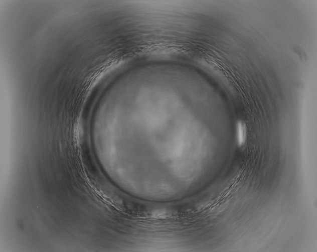 X0000113340579200909151133