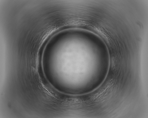 X0000113340580200909151133