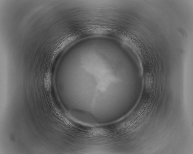 X0000113340581200909151133