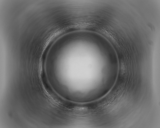 X0000113340582200909151133