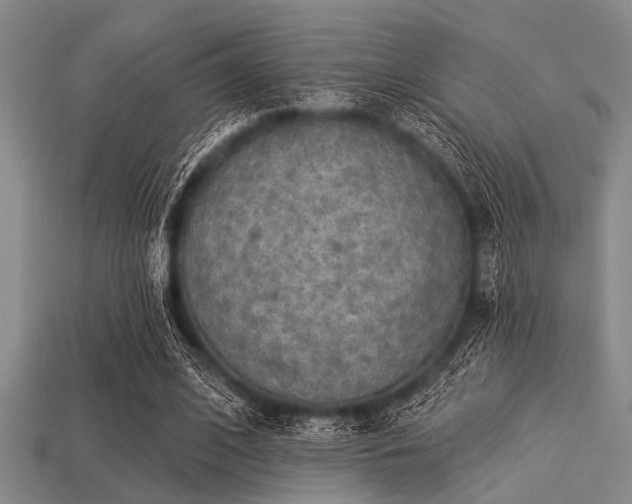 X0000113340584200909151133