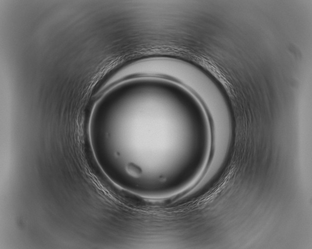 X0000113340585200909151133