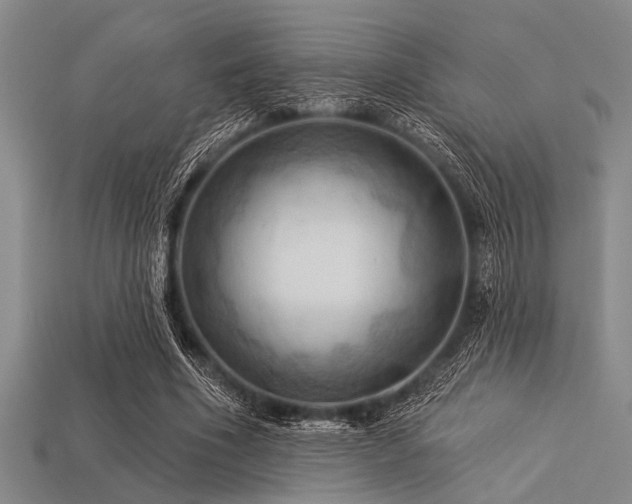 X0000113340586200909151133