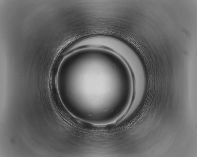 X0000113340587200909151133