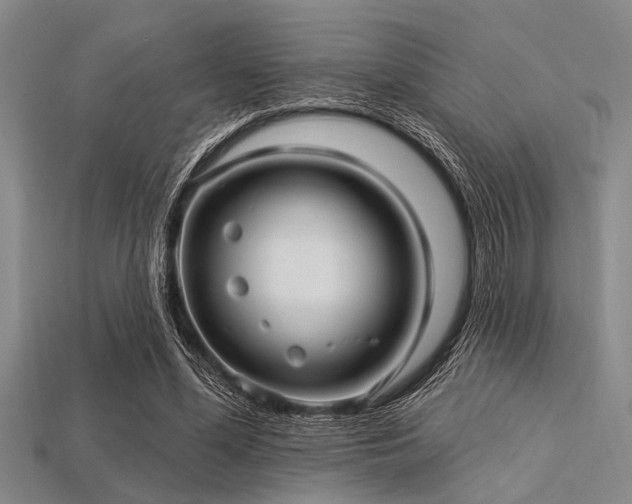 X0000113340588200909151133