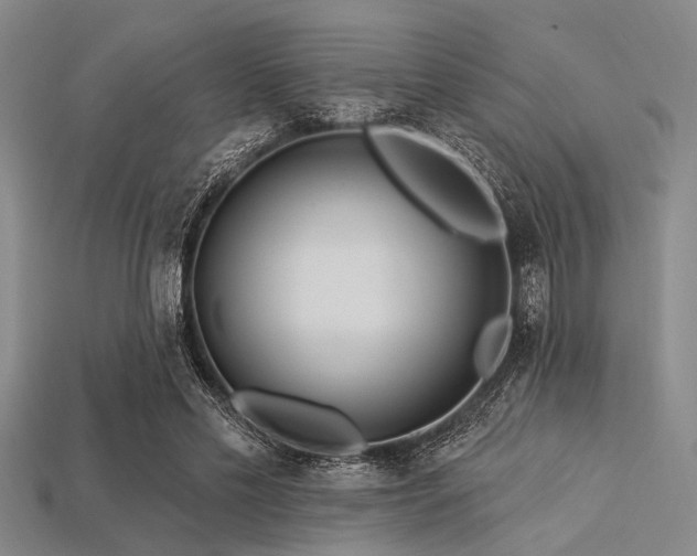X0000113340589200909151133