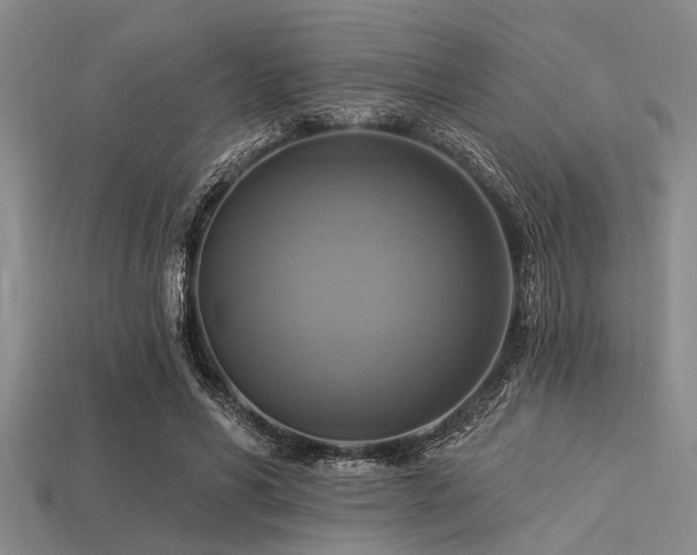 X0000113340590200909151133