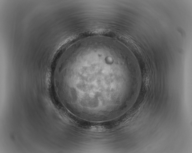 X0000113340591200909151133