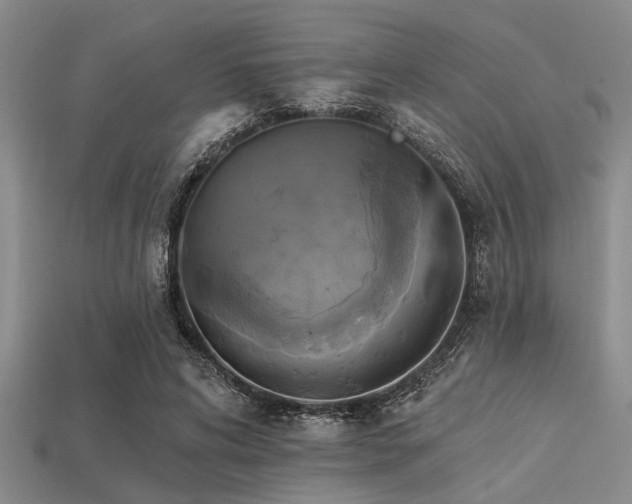X0000113340592200909151133