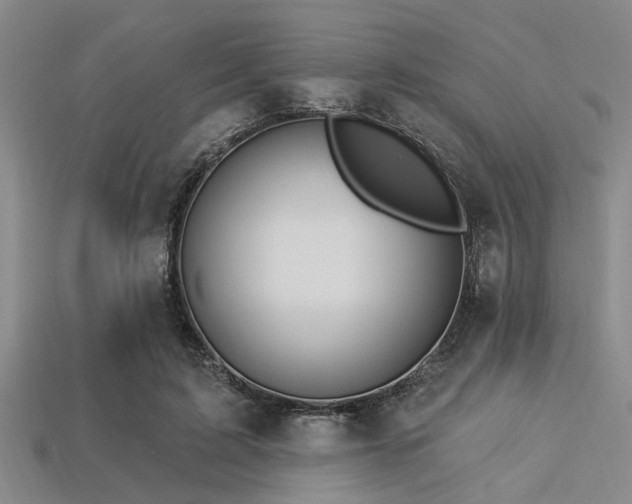 X0000113340595200909151133