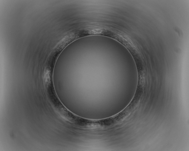 X0000113340598200909151133