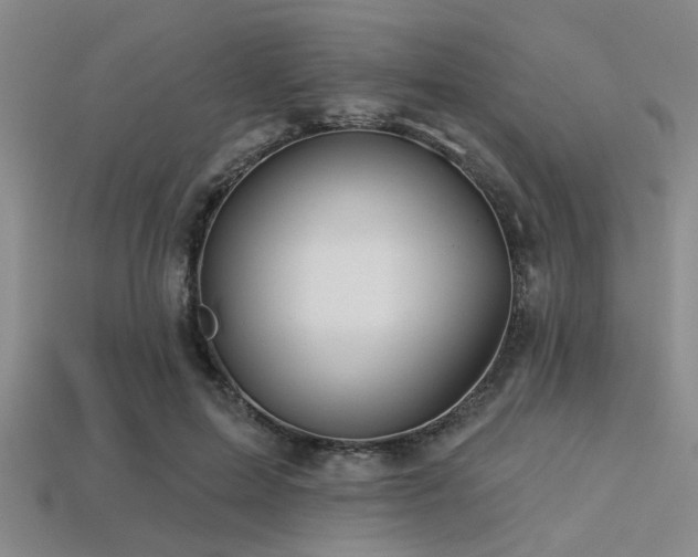 X0000113340599200909151133