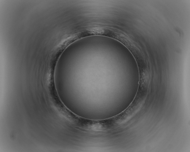X0000113340600200909151132