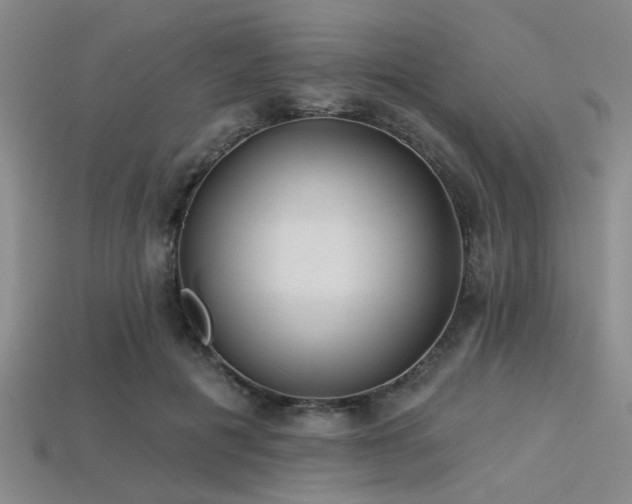 X0000113340601200909151132