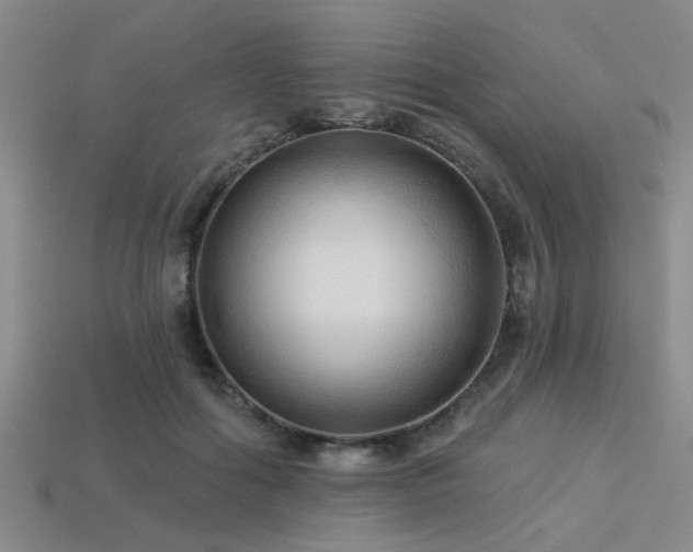 X0000113340602200909151132