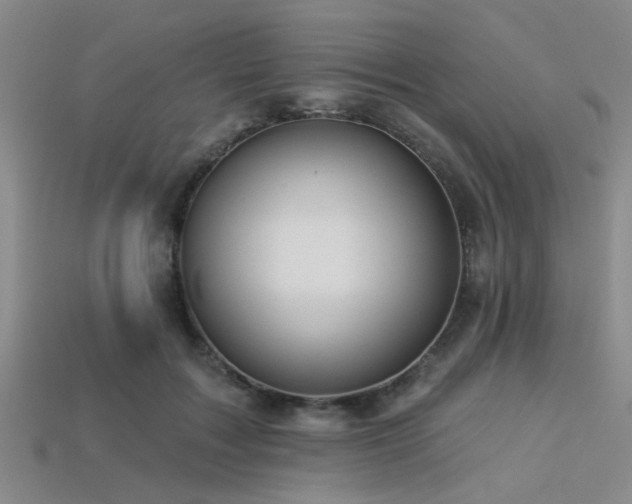 X0000113340603200909151132