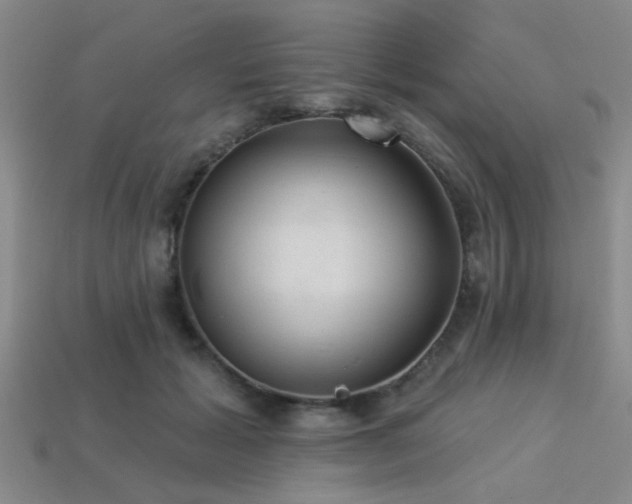 X0000113340605200909151132