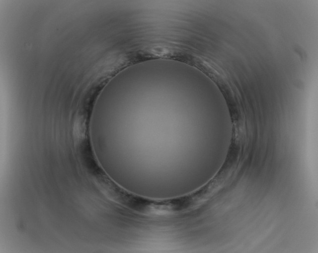 X0000113340606200909151132