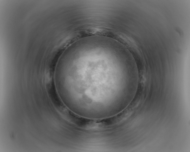 X0000113340607200909151132