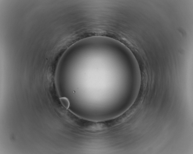 X0000113340609200909151132