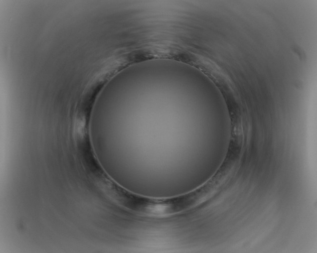 X0000113340610200909151132