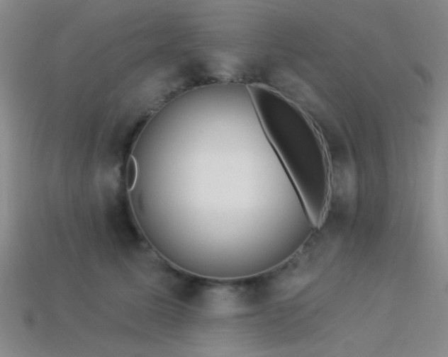 X0000113340611200909151132