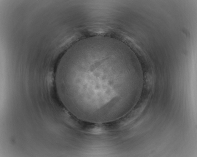X0000113340612200909151132