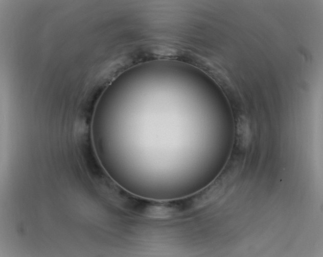 X0000113340614200909151132